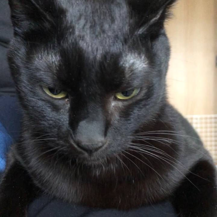 1fa9c87a 64c6 43c3 ac08 ceebbeb58d29 1681850497054