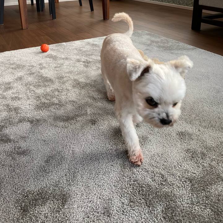 1fa9d1cc 3f71 4ee7 9e0e e58daf1e633f 1601903833409