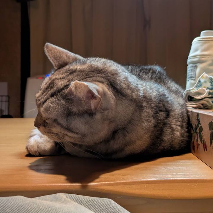 1fa9db86 8d86 4697 bd29 c4ed6aafcaca 1766253219516