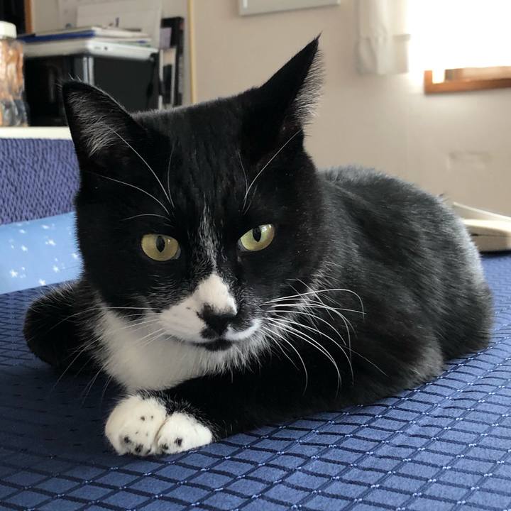 1faa1692 e22f 4a15 9a4e b2e3102406e3 1641789468464