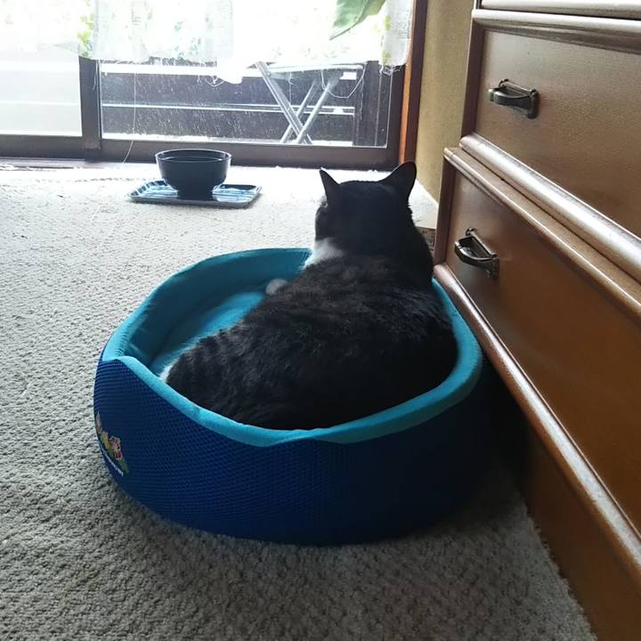 1faa1e9f 8bbe 4953 a79a bb742b254990 1606531903068