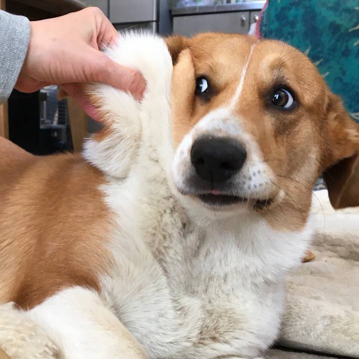 1faa55ff d6df 4912 8ca9 686649c31166 1615512330927