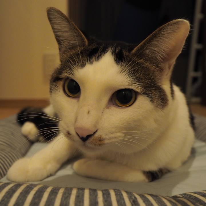 1faa576a 7cb2 45c7 8b71 3e75f7001736 1536976572142