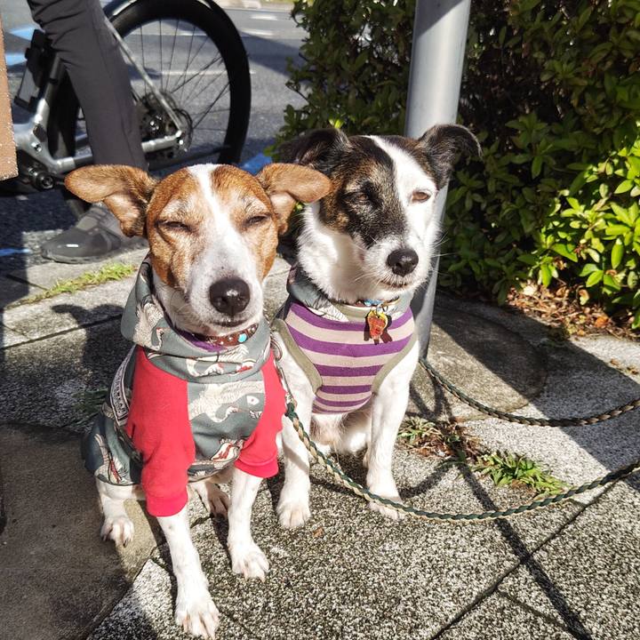 1faa9b24 ae40 4a00 bcc1 1a62dfce26ed 1748991769484