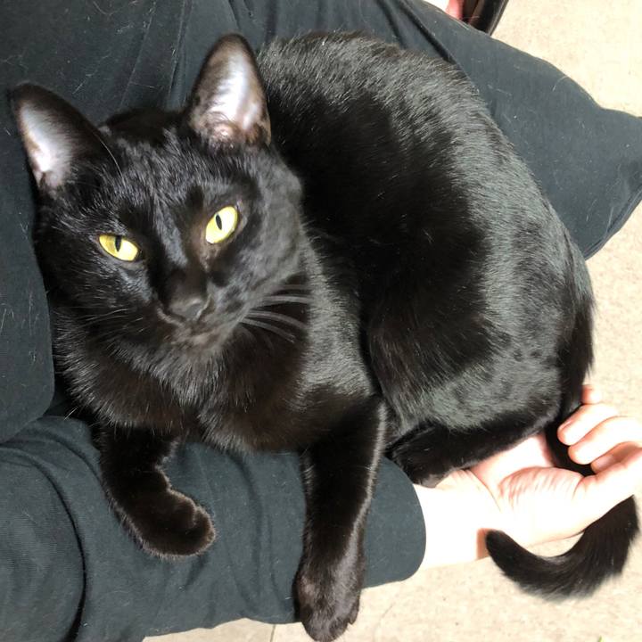 1fab1dd5 07a7 446a 9c1e c4272f100ddb 1673252638120