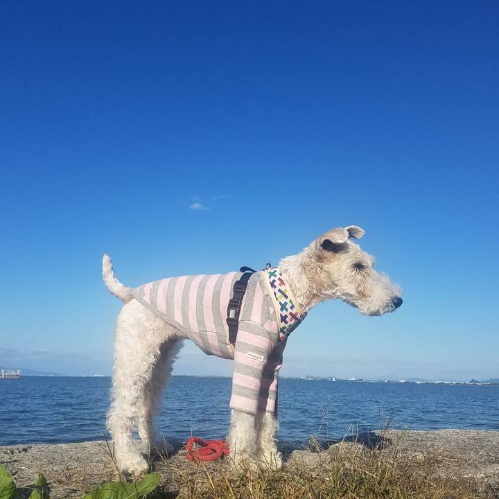 1fab2f78 a8e4 4821 96df 1817c6abc302 1603631453394