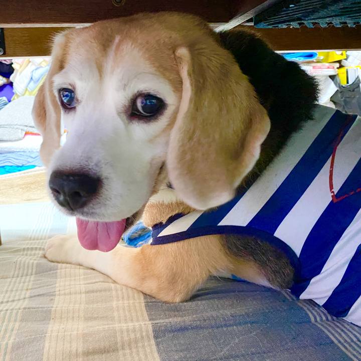 1fab416f e38b 4008 a45e 1b0898b38882 1599205305095