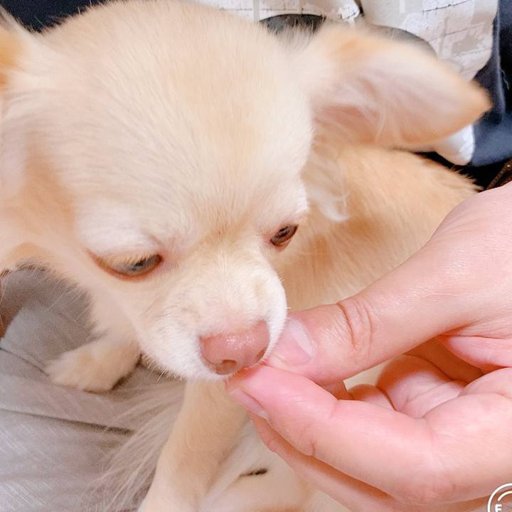 1fab4e37 83c6 4ed2 9653 b2c09c2548c3 1624419000009