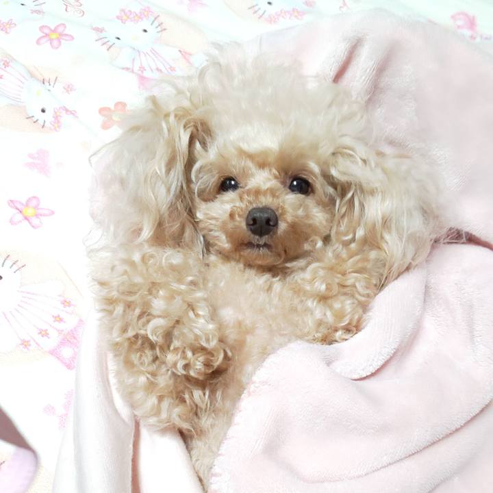 1fab5fd3 f70b 4e27 bd10 141b9c331cc5 1571882545739