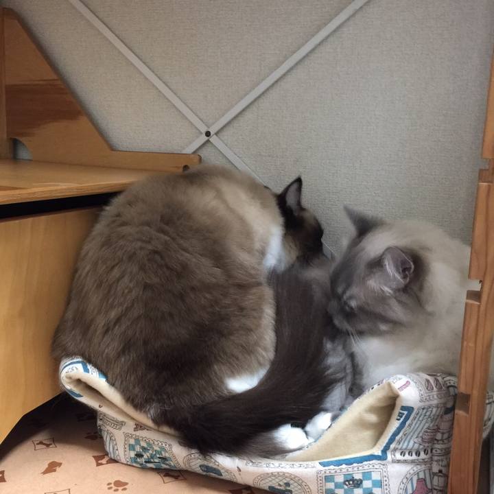 1fab8d14 ad06 4b2f a583 80b1cbf60b8f 1509894879783