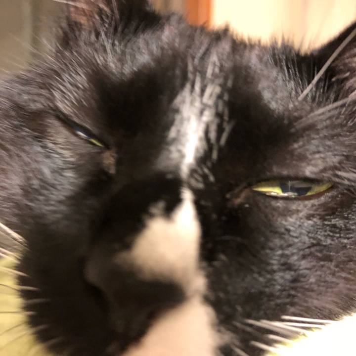 1fab9240 30aa 41eb 9426 faebfec2bee2 1511300007366