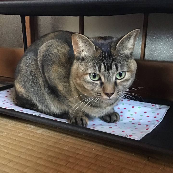 1fab9a20 3df8 4e89 b3b8 f9581e93eccb 1637816085278