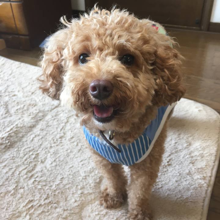 1faba457 b133 4c6c 8c0a 02e2942a579c 1534851324338