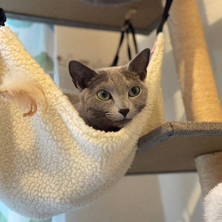 1fabecaa 3f76 4ce6 9a3b 5c26c850adcb 1686281419486