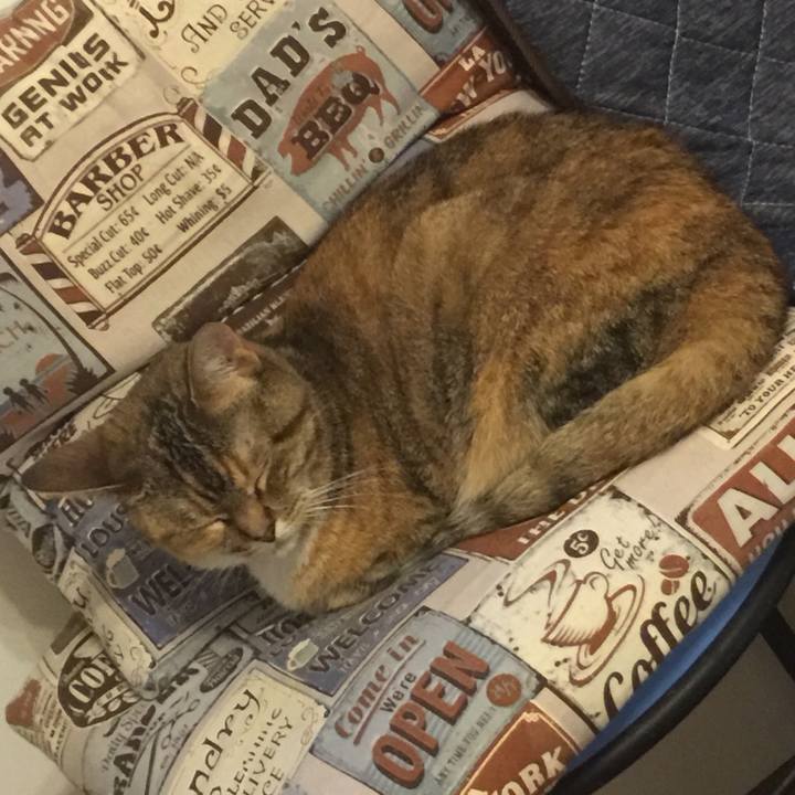 1fabf753 6070 41a3 ad76 b7163e0414e9 1561802795509