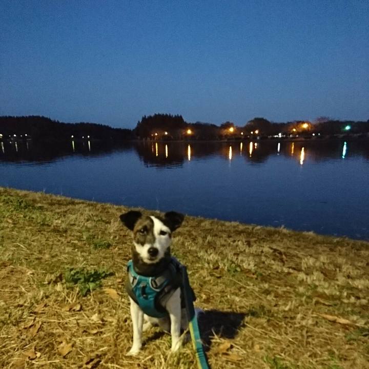 1fac270d ca69 45c1 b8a3 2862103a9e18 1512201755660