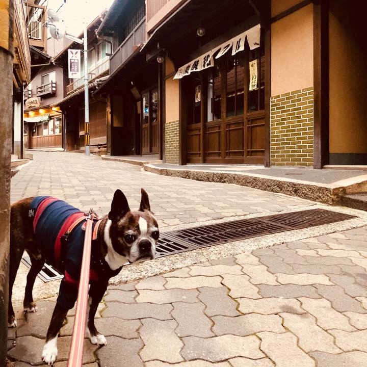 1fac2e27 0322 4221 8cda bcdf71344ff2 1525321241293