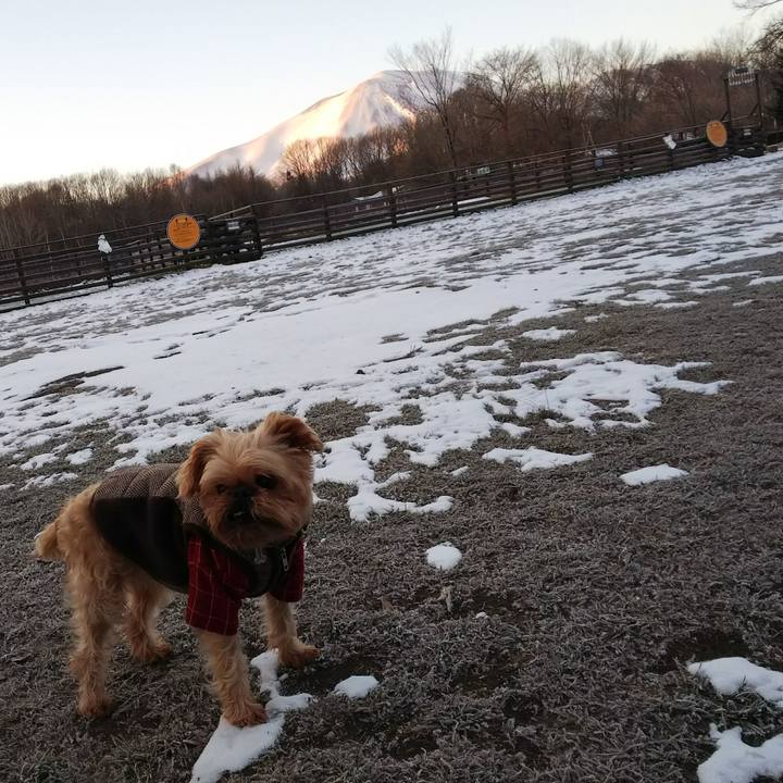 1fac4c4b 8891 40ea 9368 6339d094ccad 1511305627809