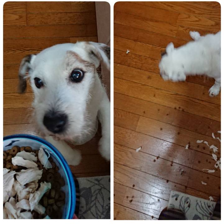 1fac577c 15f5 4f55 bc5b 6b5ca0783bde 1573256203983