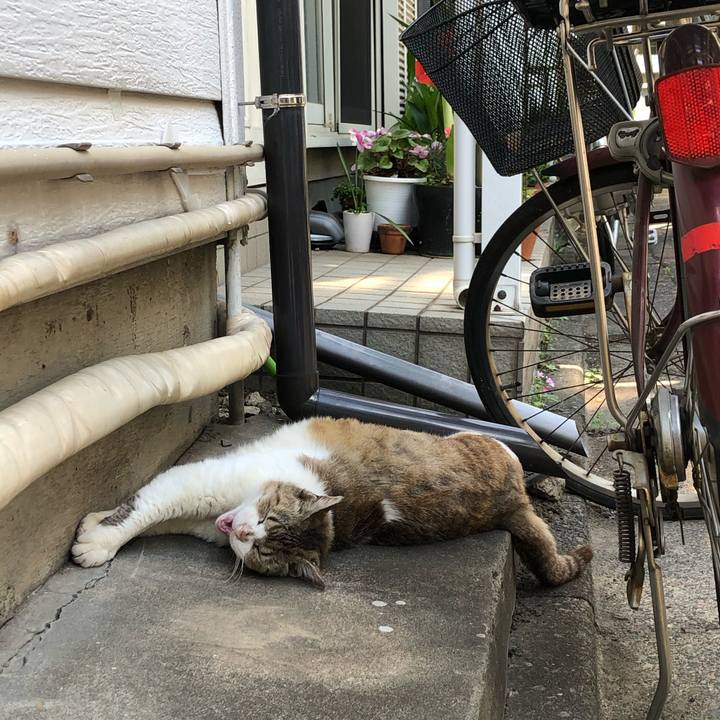 1fac5bda 1433 4d07 842e 3143c212ec9a 1623305411683