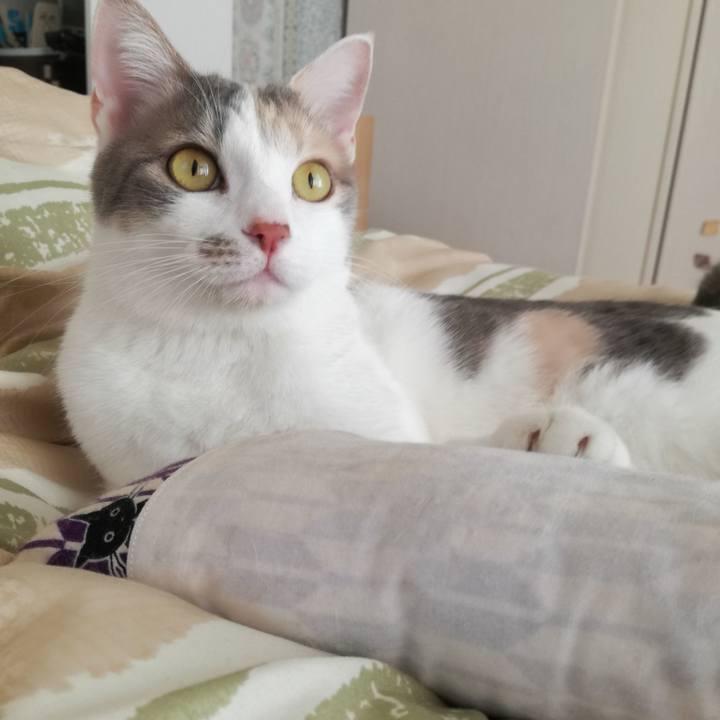 1fac81cc ccd5 4794 bd5e 581f496a2b0e 1520137873091