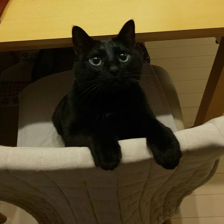 1fac9276 b97e 4058 a7ba 75c4cfe3f43c 1645707377802