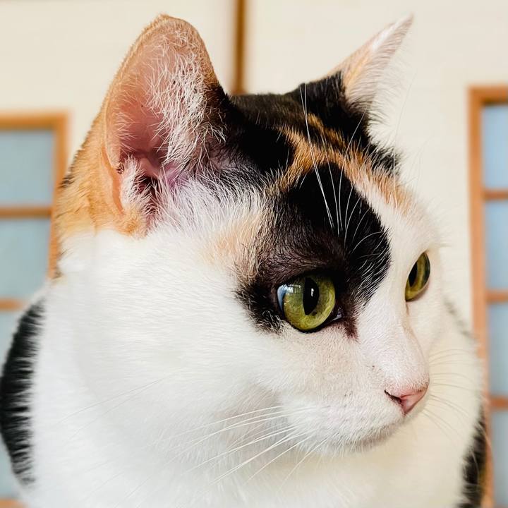 1facc4c8 f231 4b99 9c13 6b466c542a43 1607134184759