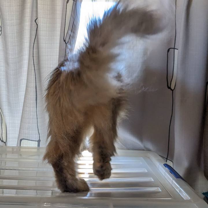 1facd182 c76a 4974 b083 0bff17c429d6 1694438023152