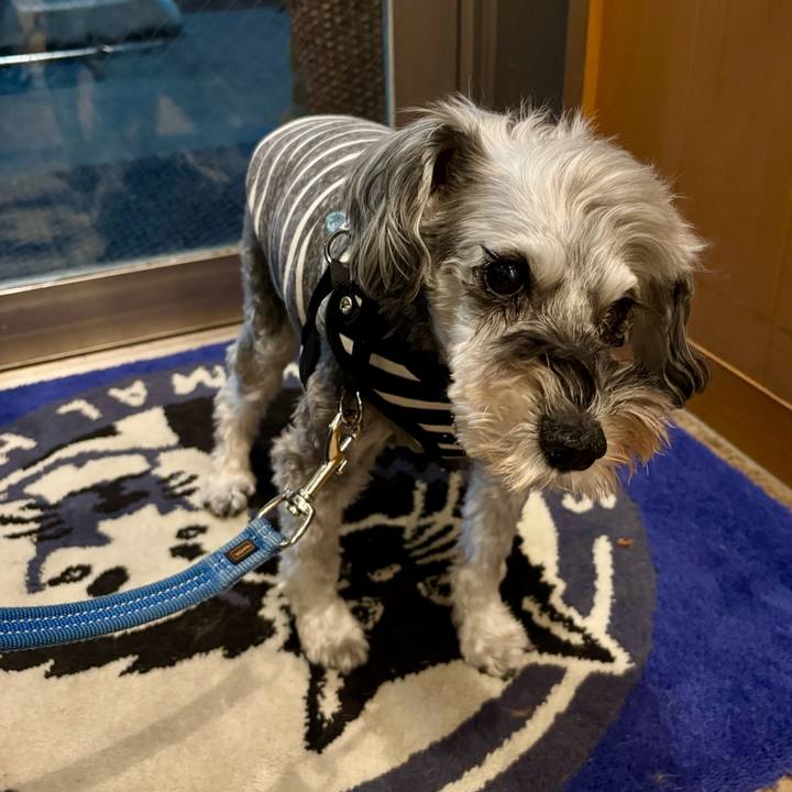 1face995 28c1 46dc b4be f0b3e0a9f881 1762603077796