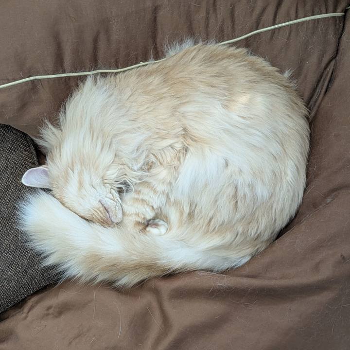 1facee53 7e03 476e bab5 e26ae569f2db 1775439335842