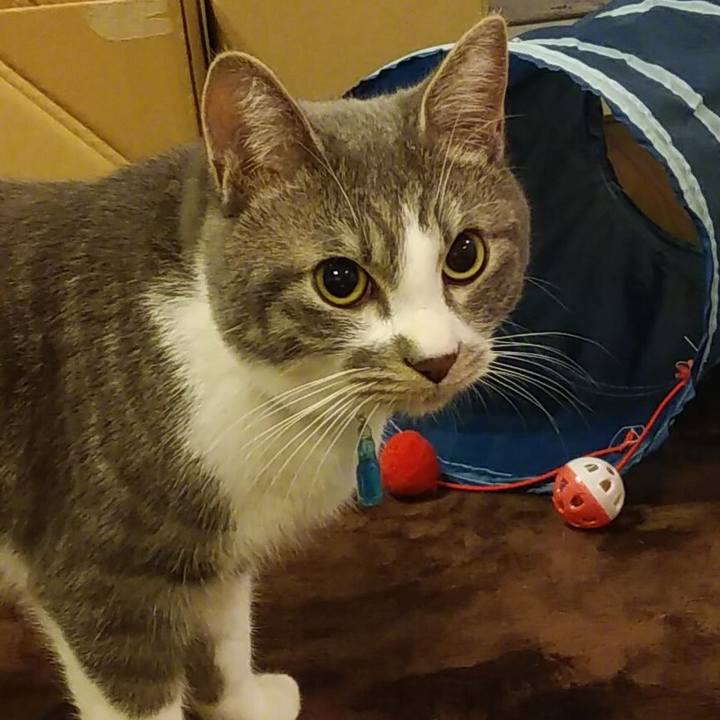 1fad15c5 d83b 4440 9c7f e60e86f48921 1579959504534