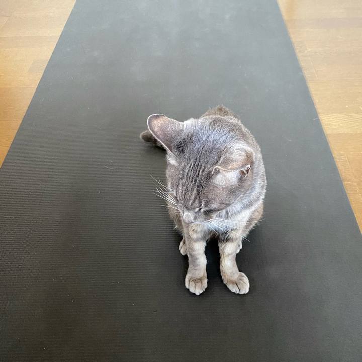 1fad1ddd 6e50 409a 9180 c262fe84f667 1639747606265