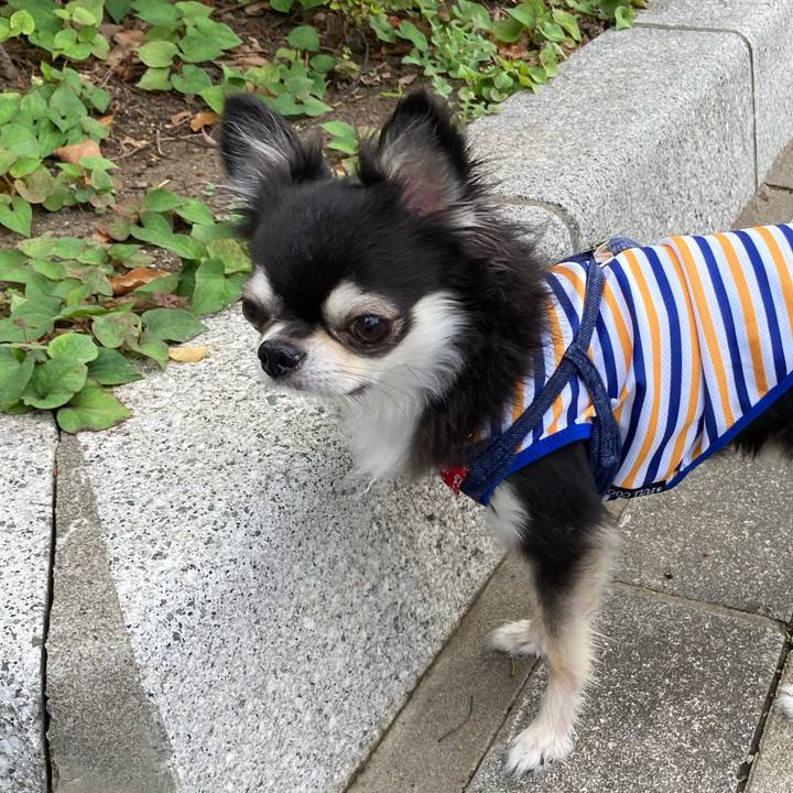 1fad43d7 047b 4d84 a396 35eb2f78936f 1688222065285