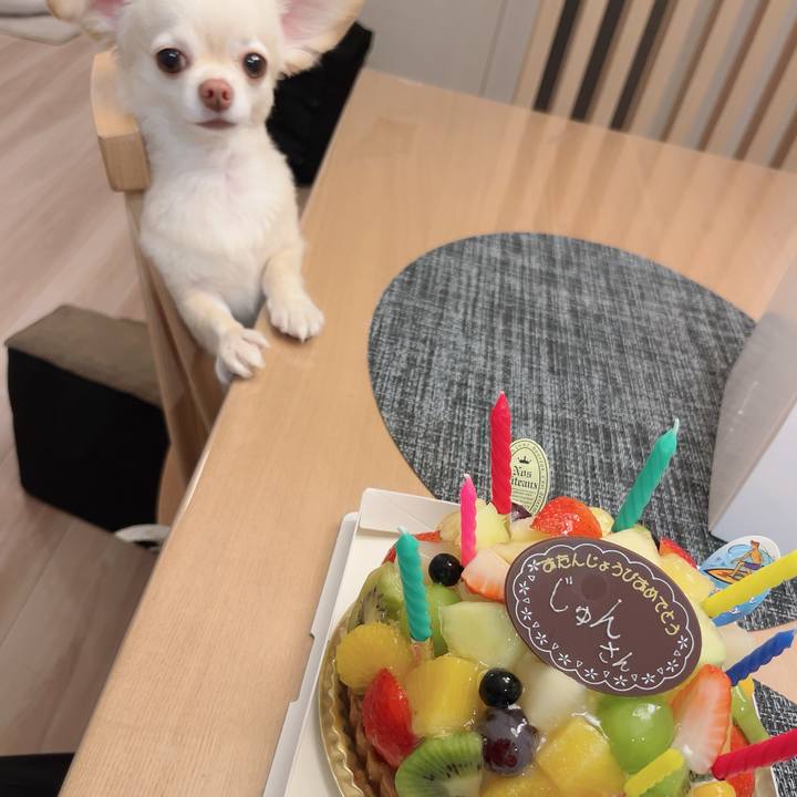 1fad4827 54ab 4791 baeb 48df508d72c3 1723807541972