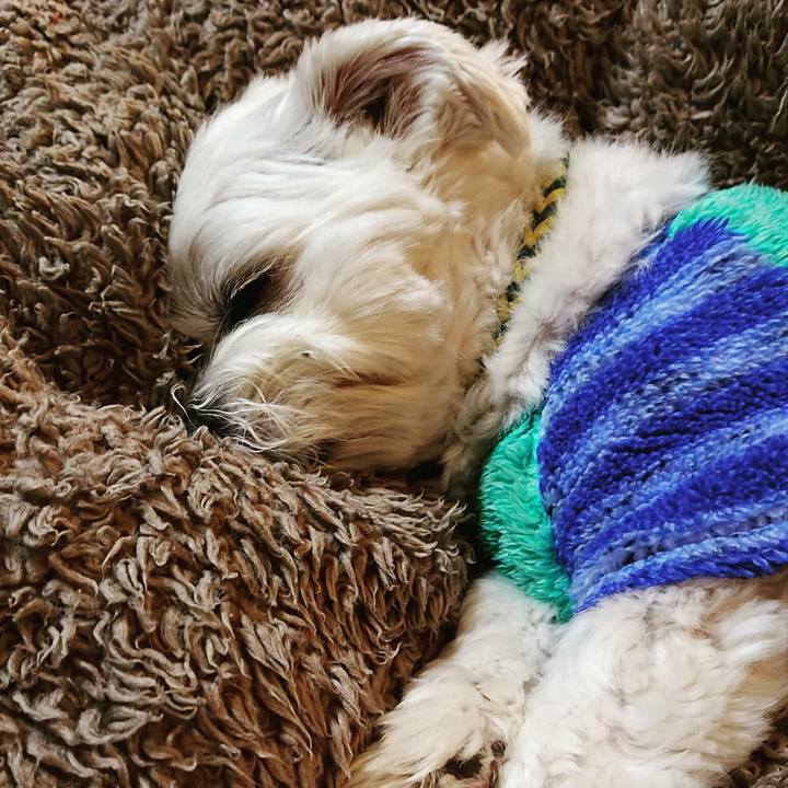 1fad58de 9376 4c55 8cd4 de6ab7761d69 1574941396337