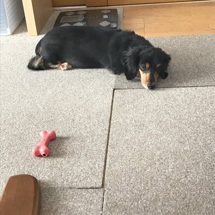 1fad7510 95a5 4299 a6a5 ee7ef34f6431 1533947709416