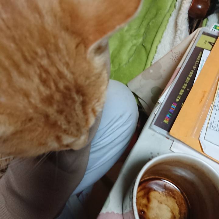 1fad752a 97a4 45f0 8f18 6425d915bed2 1588798476852