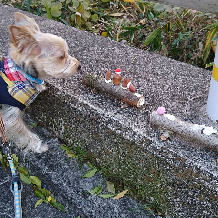 1fadba7e 67cf 4e08 a891 05163b7f0101 1512454717660