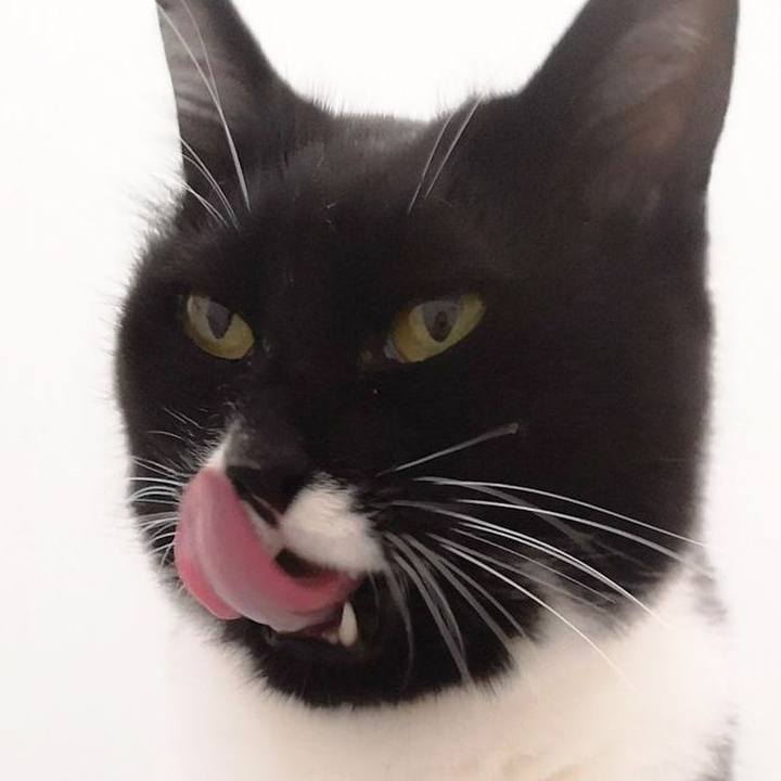 1fadd668 0770 4af1 b679 da591f0a9a21 1593023868886