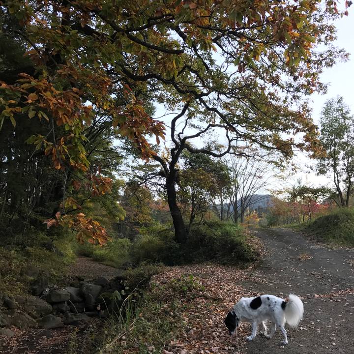 1fadf518 ce7b 4b94 867d 3fc39715a986 1509751300665