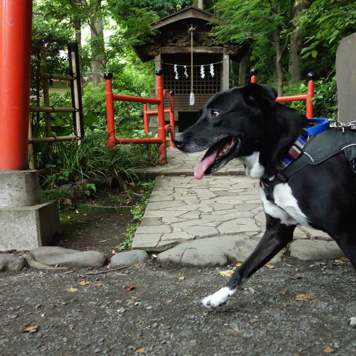 1fae568c ab71 4273 a8be 636ca69d21e7 1653351660896