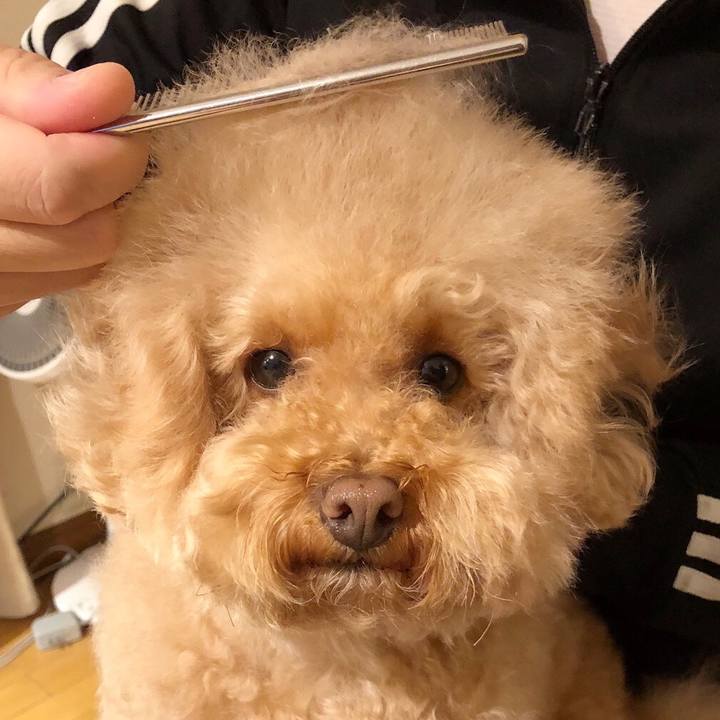 1fae9a7c 8413 4566 871a 32dce53e4051 1510476325791