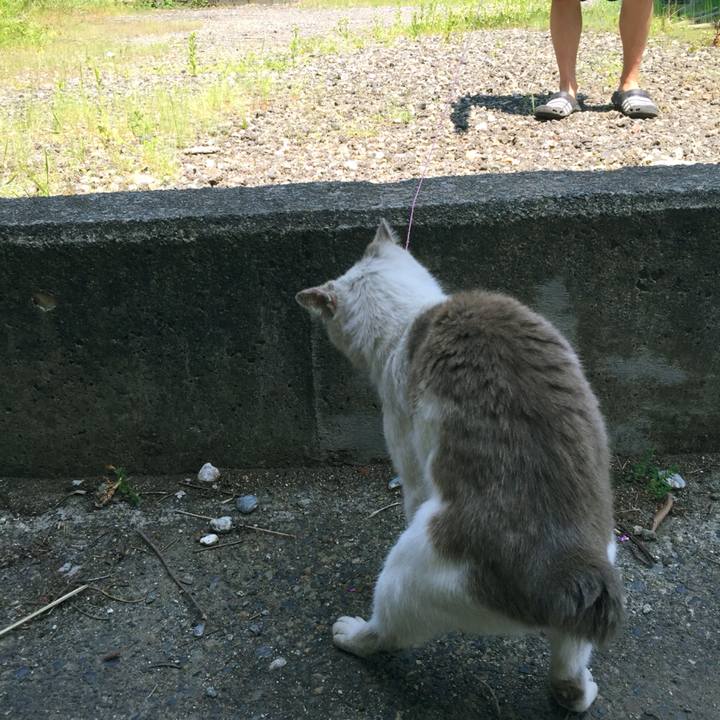 1faeac5c 5cf6 4834 98ca bc05a55e1949 1516890869214