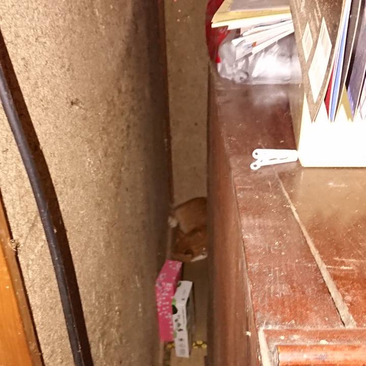 1faeacc7 4844 43d3 9833 0a63c2dd8f77 1597963615318