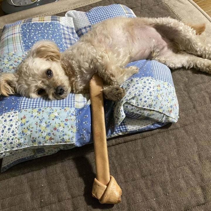 1faebc0d b94b 40f9 817d d75940e77115 1600257508783