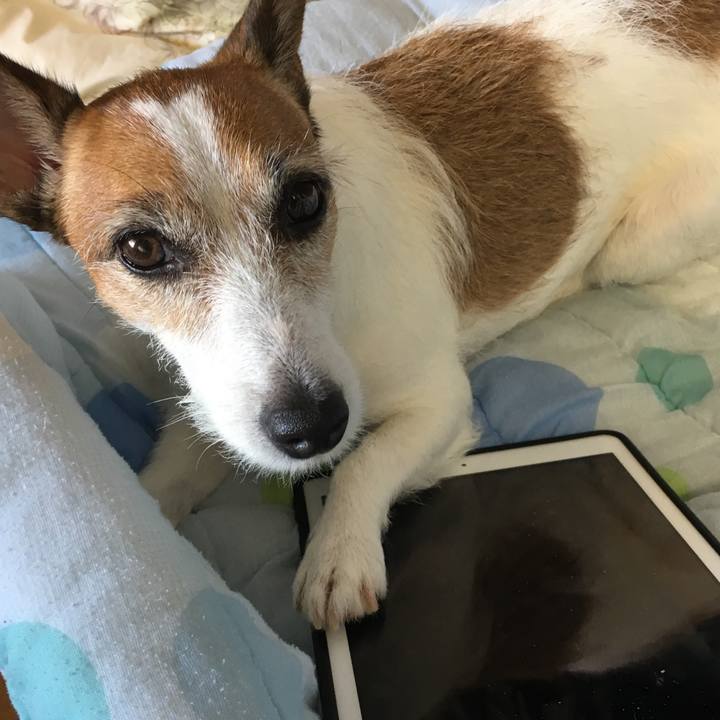 1faec056 8f99 401d a56f 3fca353f3cb9 1564183781169