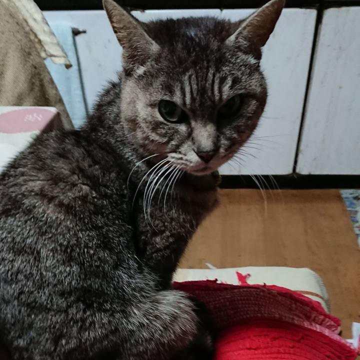 1faed6d5 08e1 44cf 9d5c 9bf8eeaa47d6 1554841224922