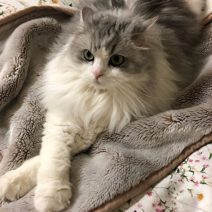 1faeeb22 a0ee 486f a073 7f1ce5392199 1556282513997