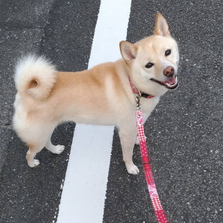 1faf0878 3184 425c 89c5 583ff45fd592 1569587938575