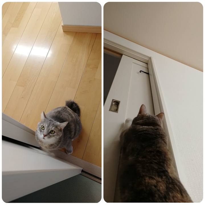 1faf2de9 f321 4757 ac32 a68b1d16f286 1539329578845